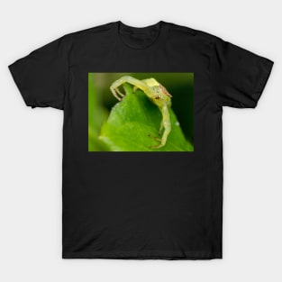 Unique and organic photo of a crab spider T-Shirt